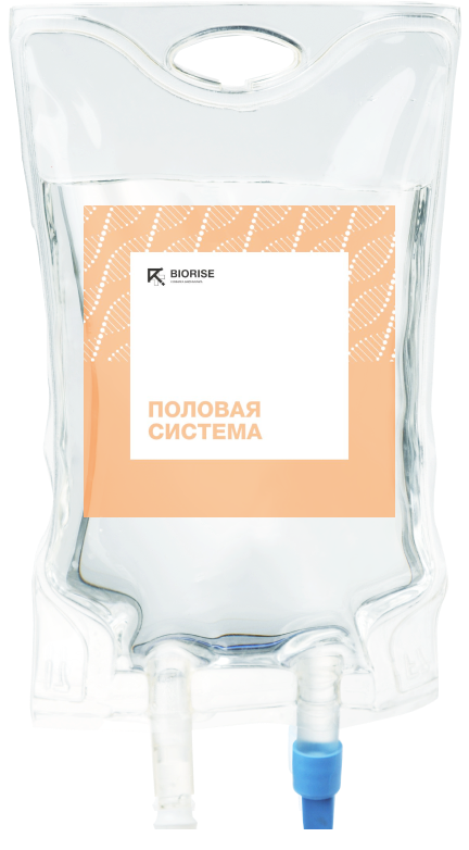 Половая система